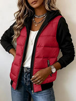 Casual Paneled Hooded Quilted Padded Jacket